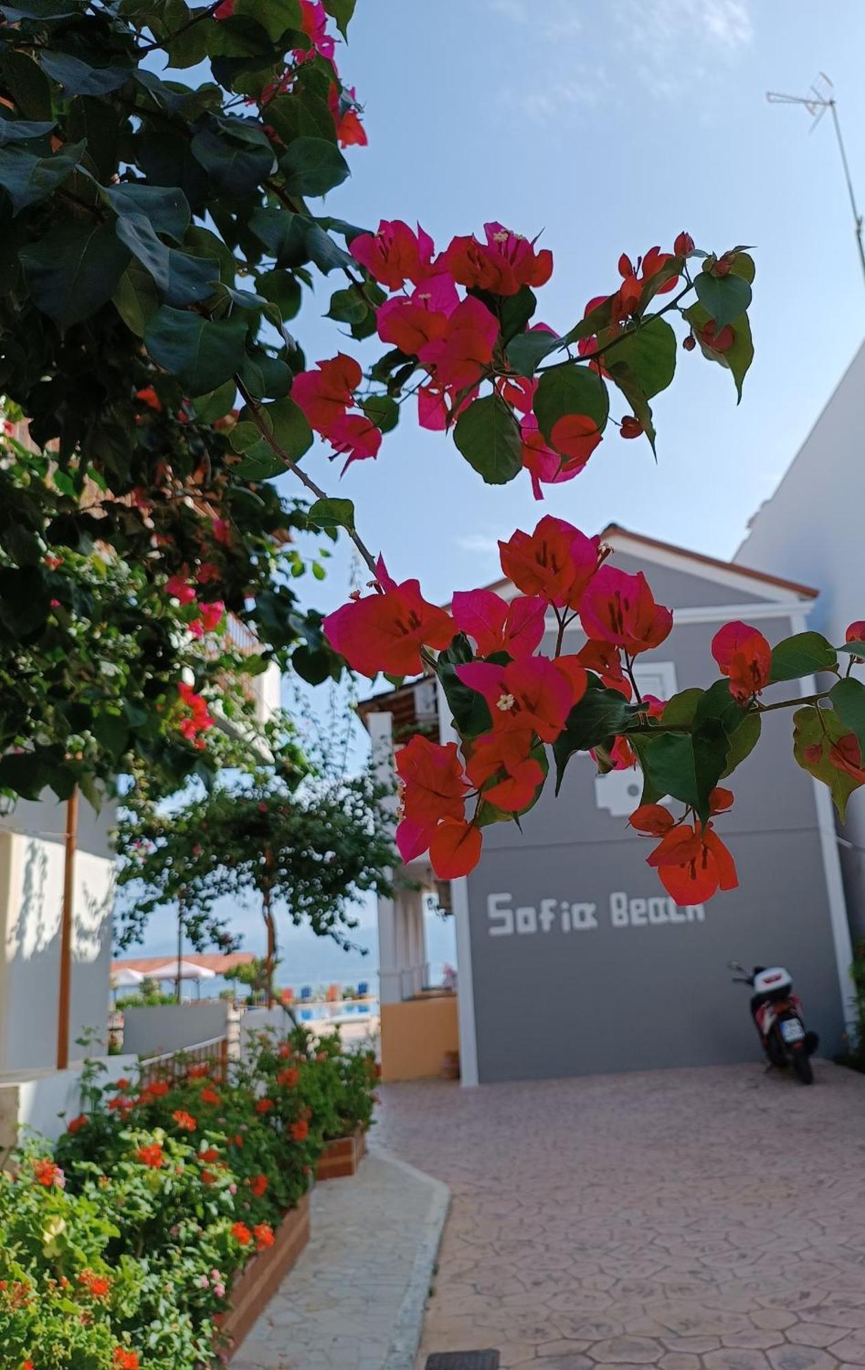 Sofia Beach Apartments カボス エクステリア 写真