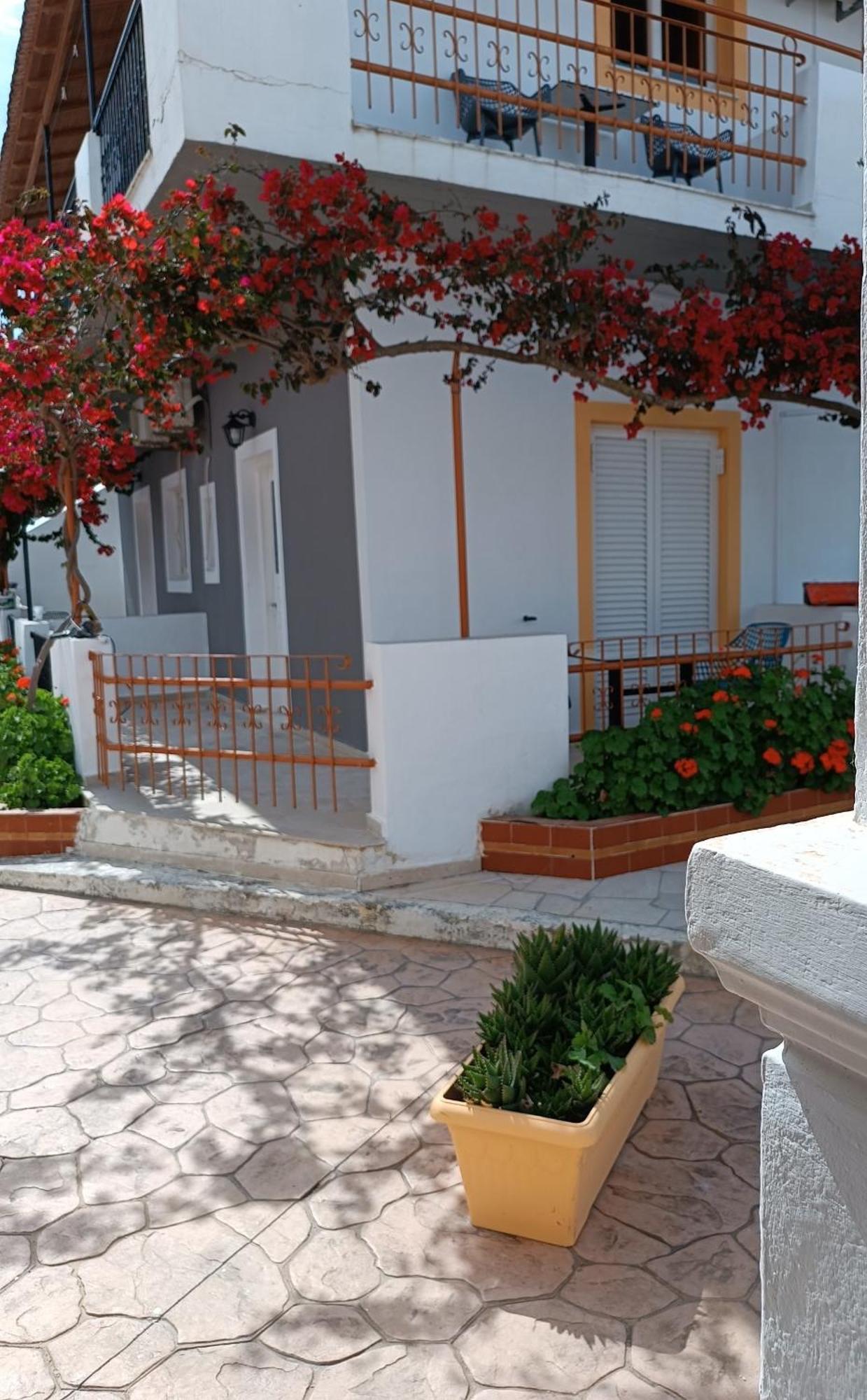 Sofia Beach Apartments カボス エクステリア 写真