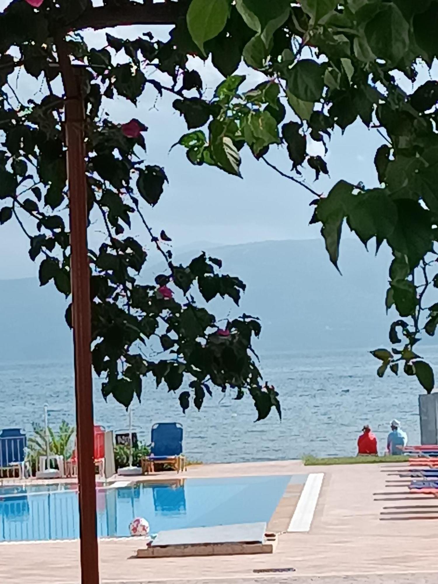 Sofia Beach Apartments カボス エクステリア 写真