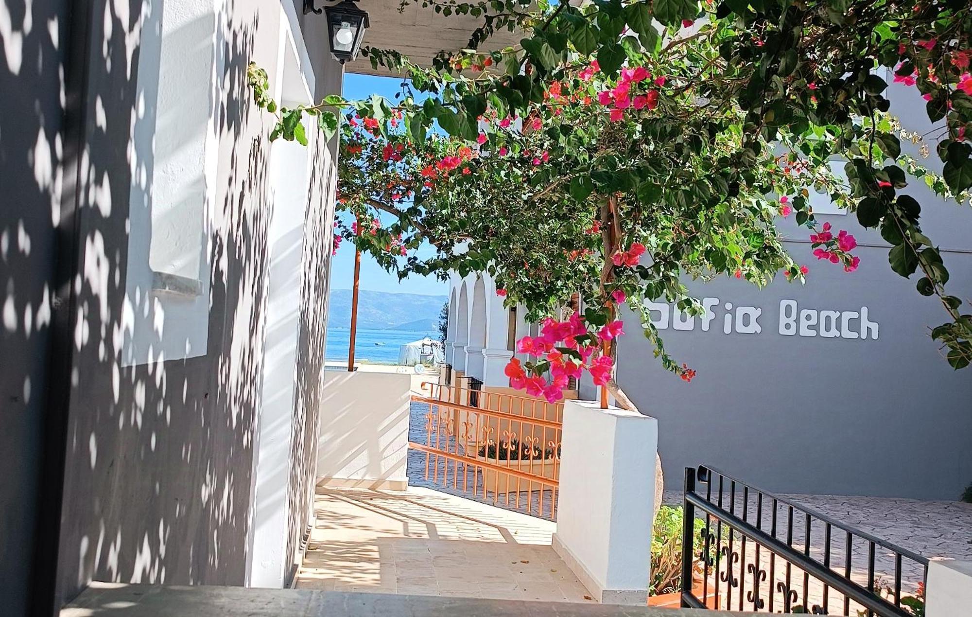 Sofia Beach Apartments カボス エクステリア 写真